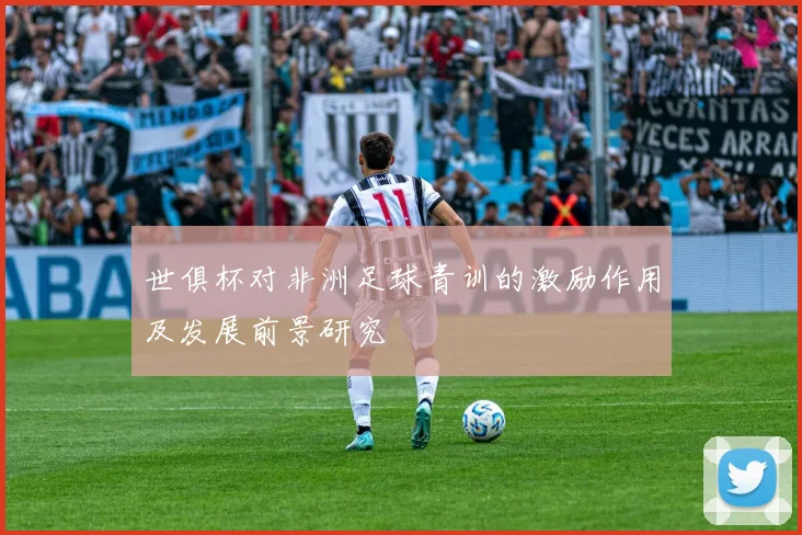 世俱杯对非洲足球青训的激励作用及发展前景研究