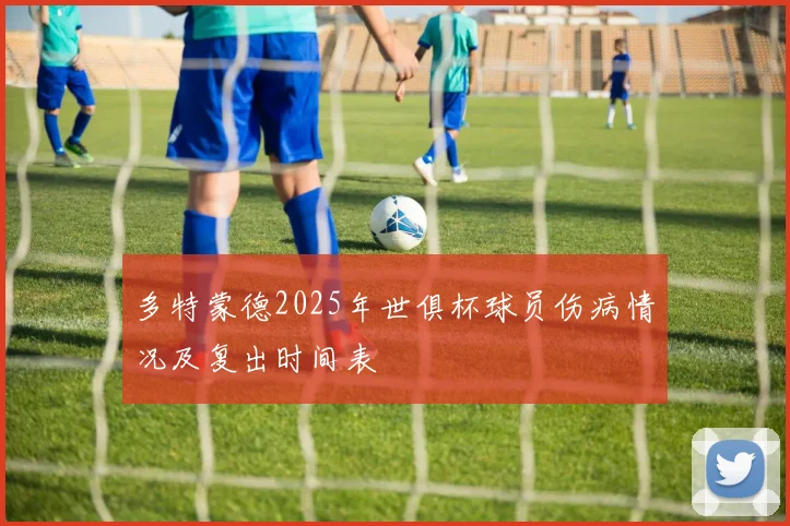 多特蒙德2025年世俱杯球员伤病情况及复出时间表