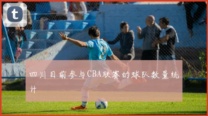 四川目前参与CBA联赛的球队数量统计